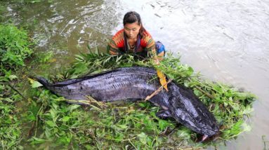Fishing Life: Catch A Lot Of Fish and Catch Big Catfish in Grass - Cooking Fish