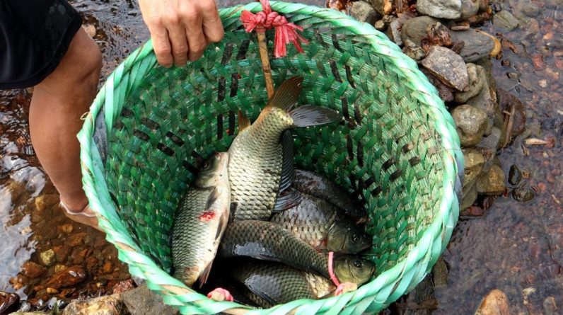 Catch fish basket in trap fish - Comfortable catch fish in summer